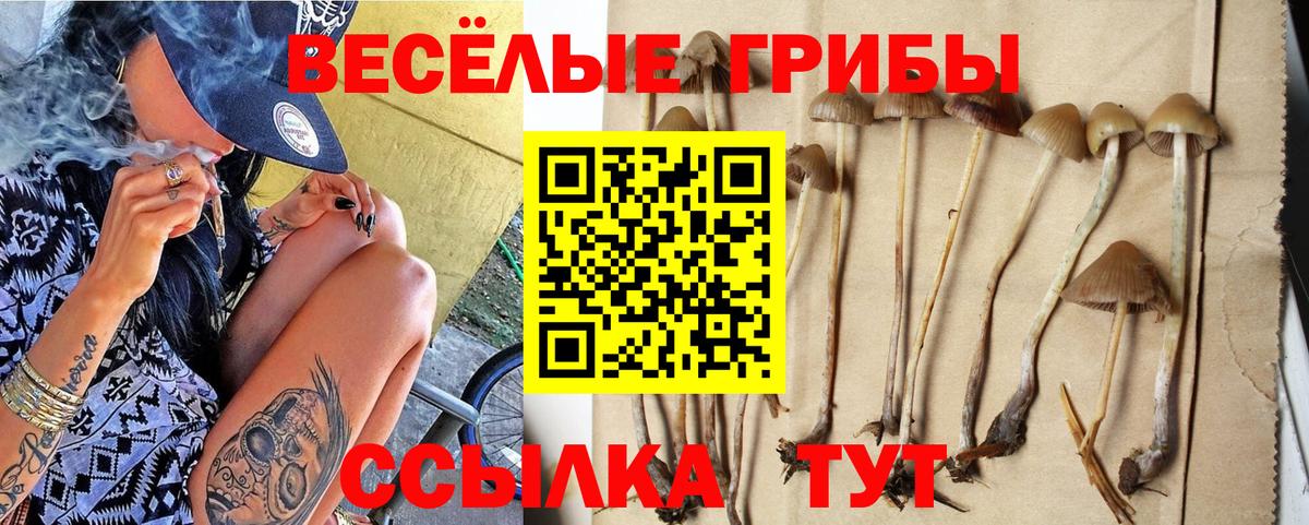 Симферополь  Галлюциногенные грибы Psilocybine cubensis  Вход с VPN 